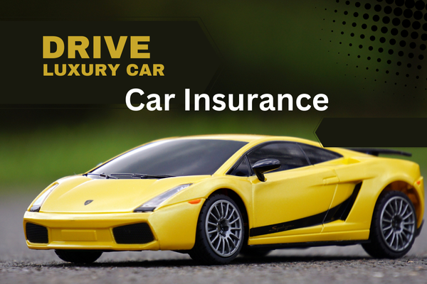 car insurance